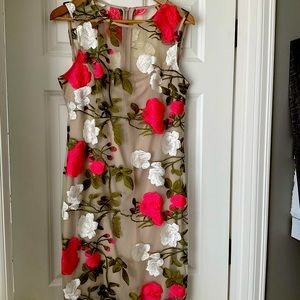 CK special occasion dress